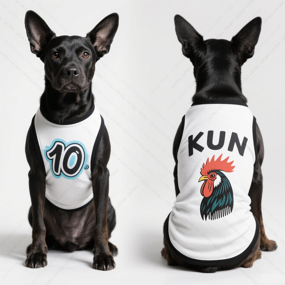 2025 ropa para perros Love Kun - Summer 2025 Clothing Essentials reseña y precio